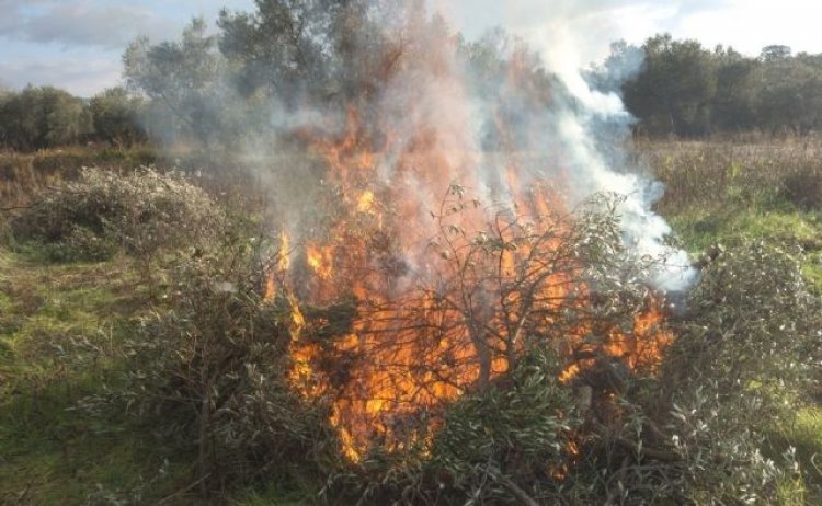 Medio Ambiente recuerda que se prohíben las quemas agrícolas y sólo se autorizan de forma excepcional por un riesgo fitosanitario comprobado