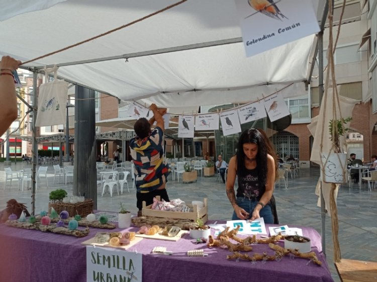 Se celebran actividades en la plaza Balsa Vieja con motivo del Día de la Diversidad Cultural, organizadas por la Fundación Cepaim