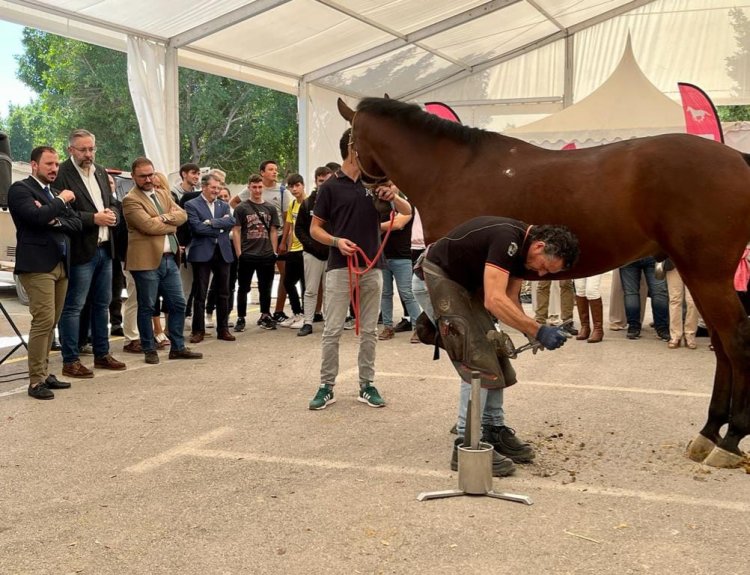 Fericab Lorca 2022 se celebra con récord de yeguadas y  250 caballos que participan tanto en los concursos como en el espectáculo ecuestre  de los días 14 y 15 de octubre