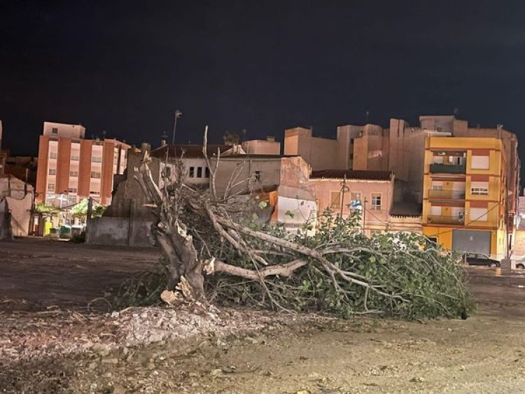 Las fuertes rachas de viento arrancan el tejado de una vivienda y un árbol en #Lorca